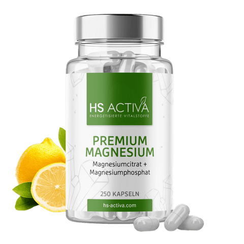 Premium Magnesium (Großpackung: 250 Kapseln)
