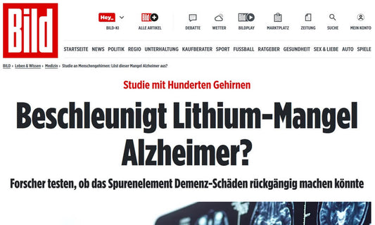 BILD-Zeitung berichtet über Lithium – und warum das für Sie wichtig ist