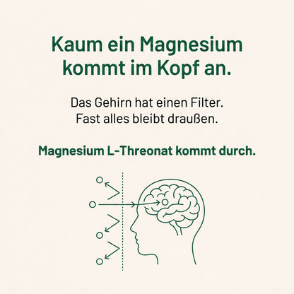 Warum kaum ein Magnesium im Gehirn ankommt - Magnesium L-Threonat kommt durch die Filterschranke des Gehirns