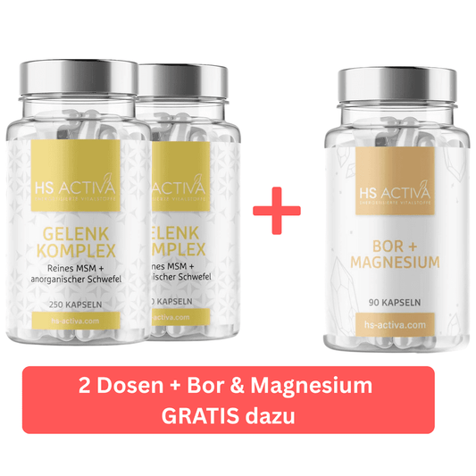 Product shot showing two bottles of HS Activa Gelenk Komplex and one bottle of Bor & Magnesium capsules featuring a pale yellow label with geometric crystal accents and silver lids
