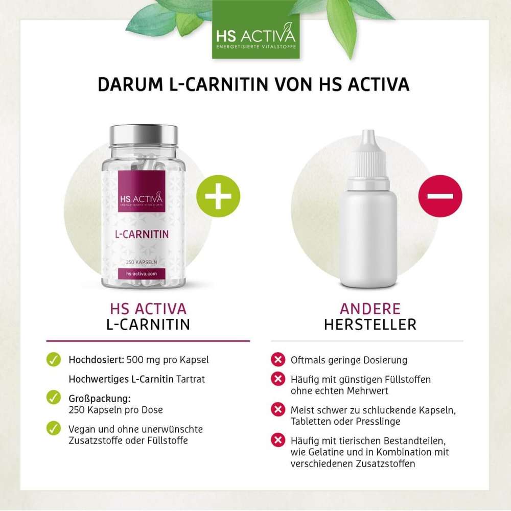 Darum L Carnitin Kapseln von HS Activa