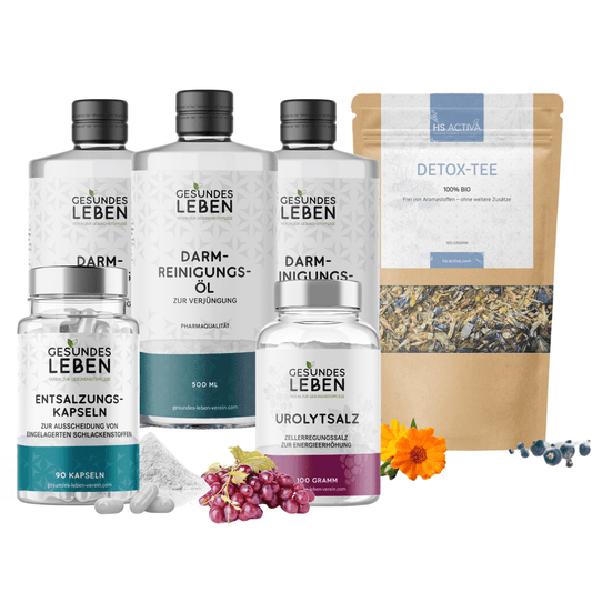 Product shot showing Gesundes Leben and HS Activa brand detox products including bottles of Darm-Reinigungs-Öl, capsules, and a detox tea bag featuring vibrant red grapes, a bright orange calendula flower, and dark-colored berries.
