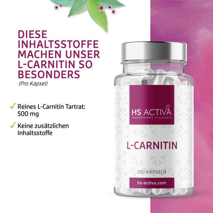 L-Carnitin hochdosiert Inhaltsstoffe entdecken