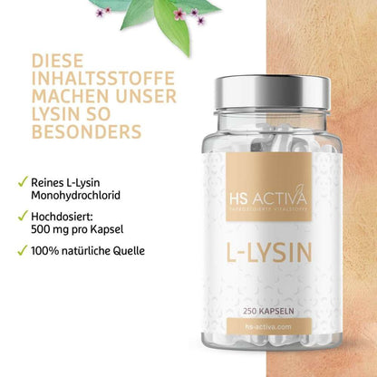 L-Lysin Hydrochlorid Inhaltsstoffe von HS Activa