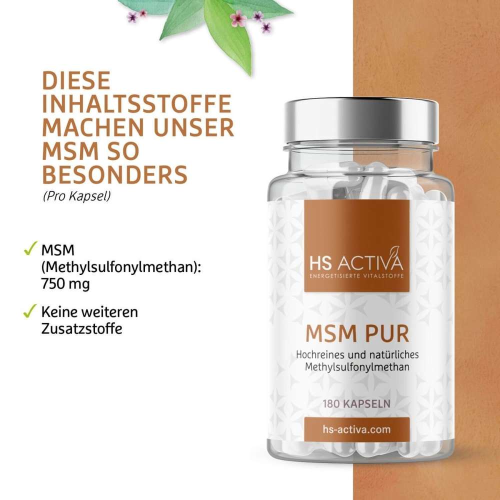 MSM hochdosiert kaufen - diese Inhaltsstoffe sind enthalten