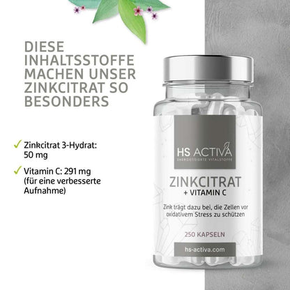 Vitamin C Zund Zink Kapseln - Die Inhaltsstoffe