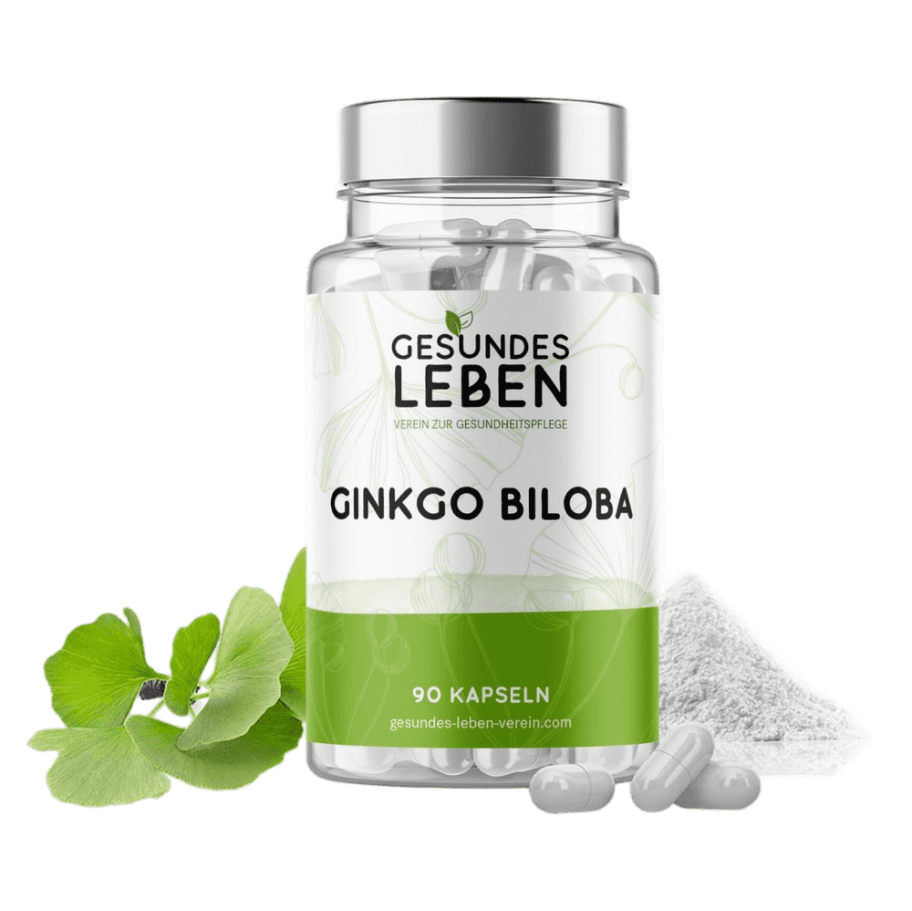 Gesundes Leben - Ginkgo Biloba - 90 Kapseln - HS Activa