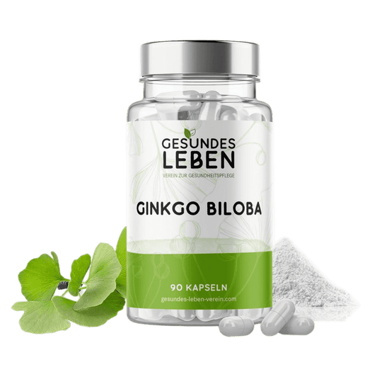 Gesundes Leben - Ginkgo Biloba - 90 Kapseln - HS Activa