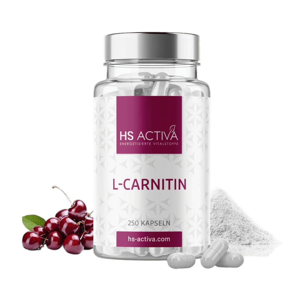 L-Carnitin (Großpackung: 250 Kapseln) - HS Activa